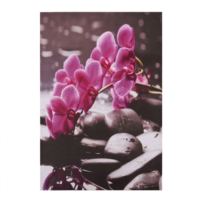 pinakas-kambas-pink-orchid-hm715412-60x9