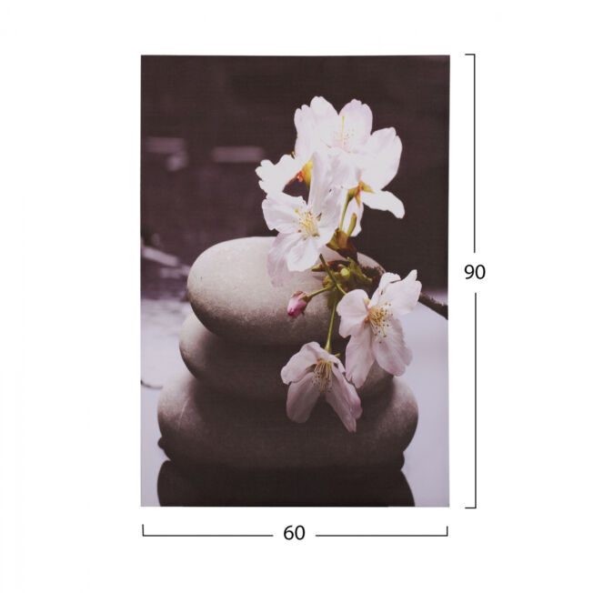 pinakas-kambas-white-orchid-hm715411-60x-1