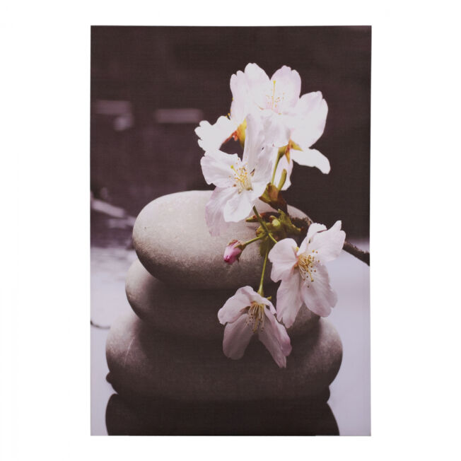 pinakas-kambas-white-orchid-hm715411-60x